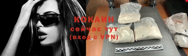 гашик Надым