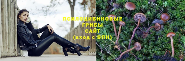 мескалин Навашино