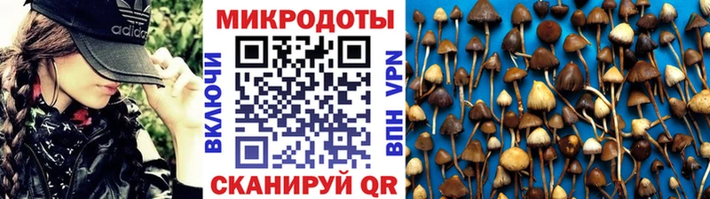 Псилоцибиновые грибы GOLDEN TEACHER  Ливны 