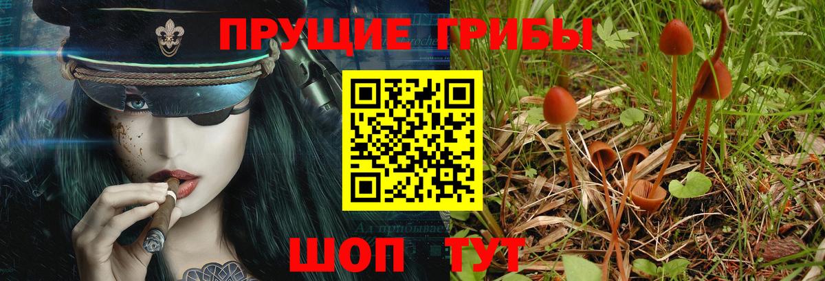 Галлюциногенные грибы GOLDEN TEACHER  Вход с VPN  Ливны 